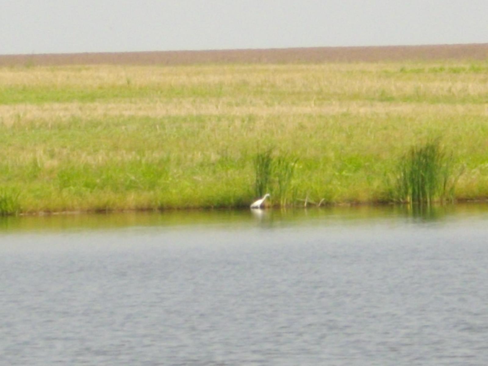Lacul CHIROIU 4 - IMGP5578.JPG